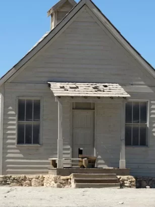 Griezelig Lekkere Veenbessentaartjes met Schuimspookjes 🕸️