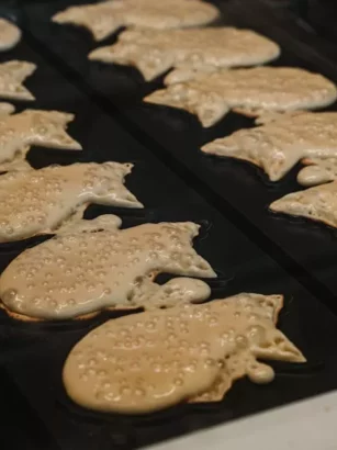 Hartige Wafelhartjes met Ganda Ham en Pannenkoekendeeg 🎉
