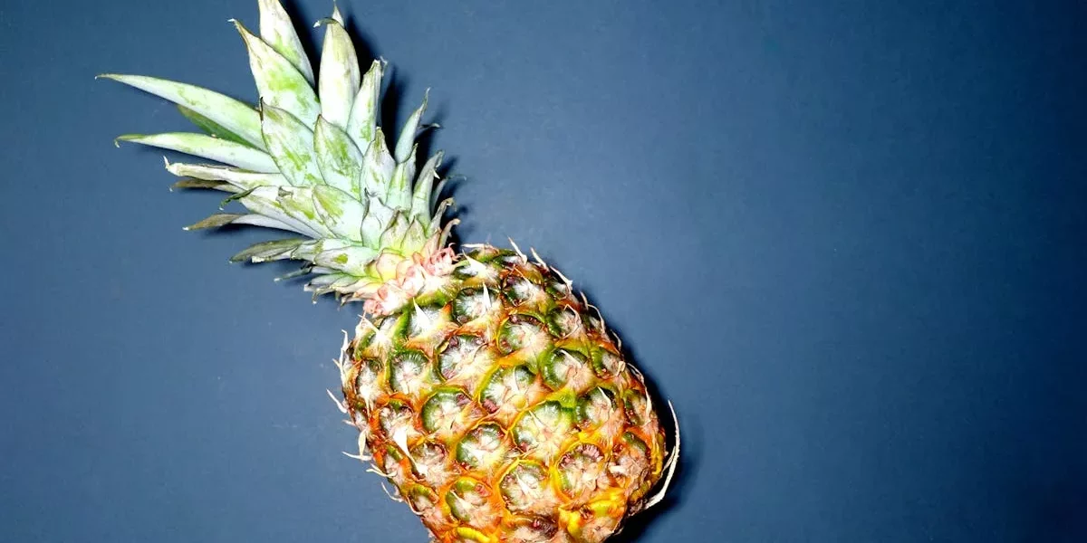 Heerlijke Merelbeekse Ananastaart 🌿🍍