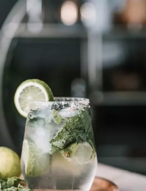 Verfrissende Kindermojito’s 🍹: Zelfgemaakte Citrussiroop Verwennerij
